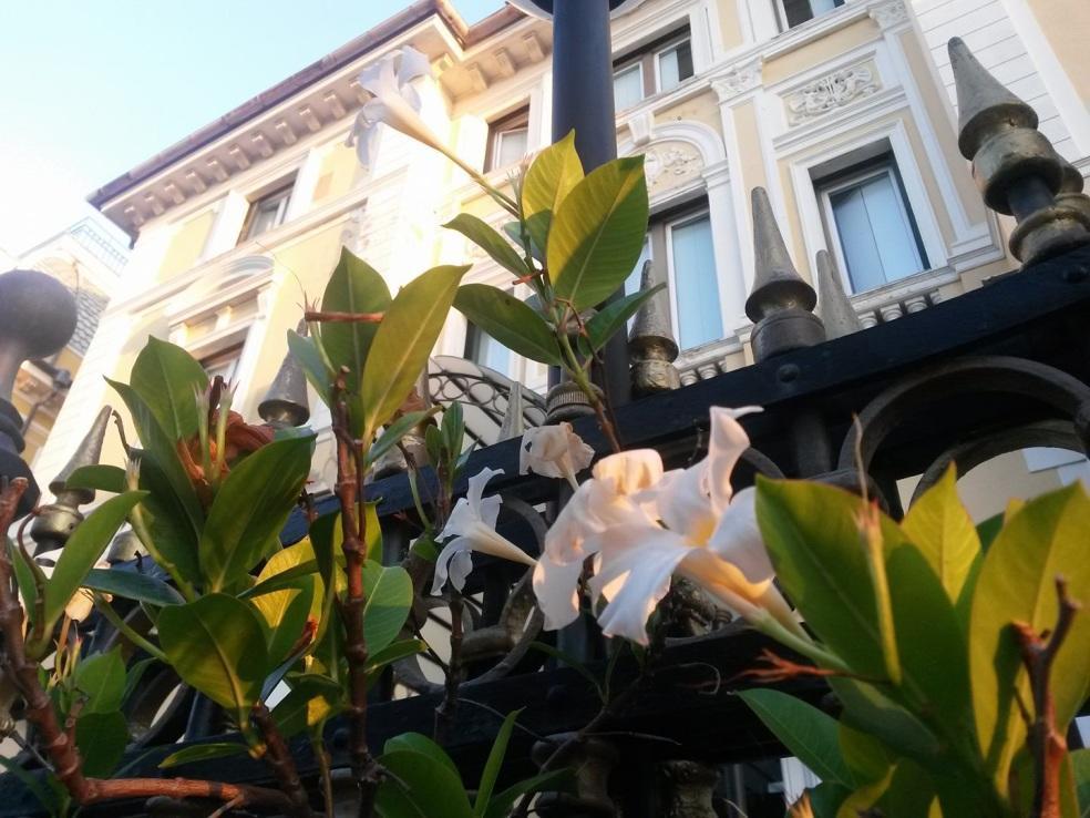 Ena Hotel Arenzano Buitenkant foto